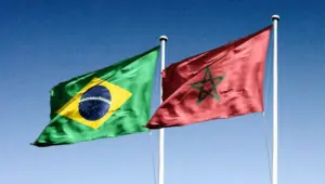 علمي المغرب والبرازيل