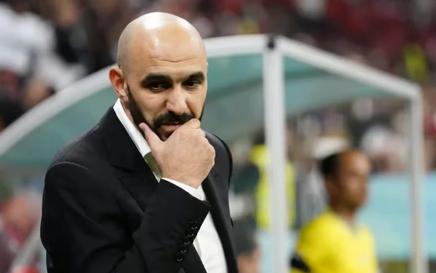 وليد الركراكي يفكر في كأس أفريقيا 2025