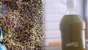 زيت الزيتون