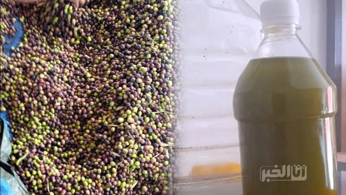 زيت الزيتون