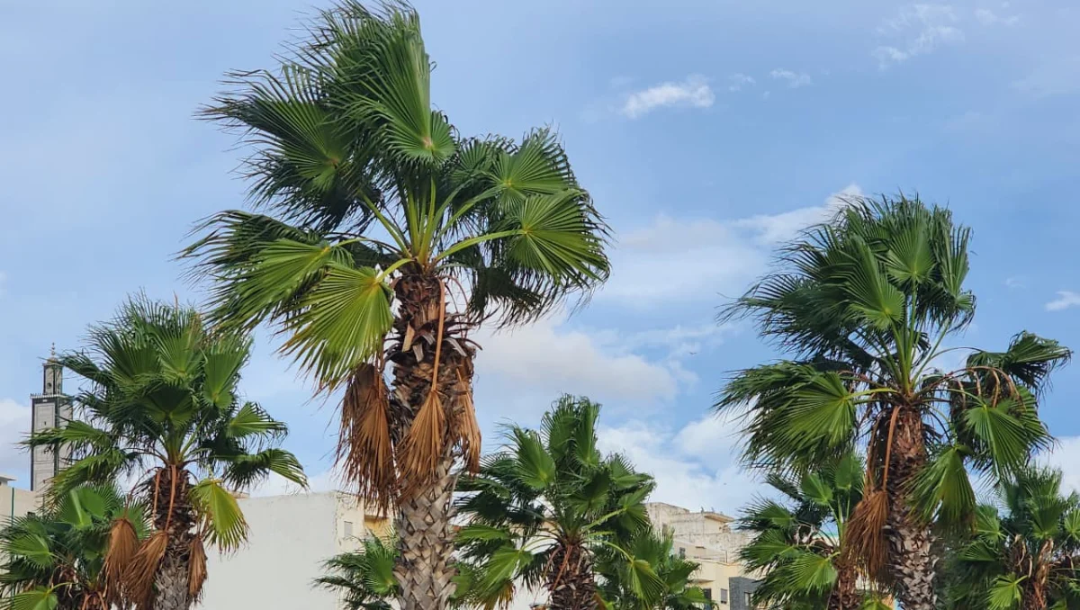 حالة الطقس بالمغرب/ تصوير: أنا الخبر