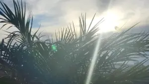 درجات الحرارة بالمغرب