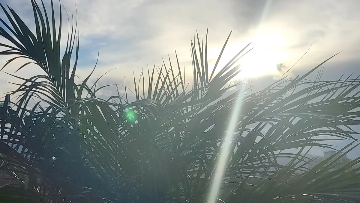 درجات الحرارة بالمغرب