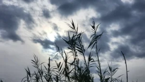 طقس المغرب ـ تصوير: أنا الخبر