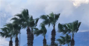 الطقس في المغرب