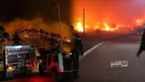 حرائق الجزائر