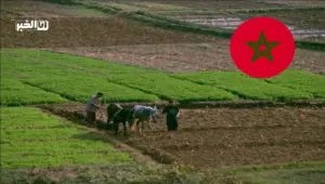 الفلاحة في المغرب تنتظر الأمطار