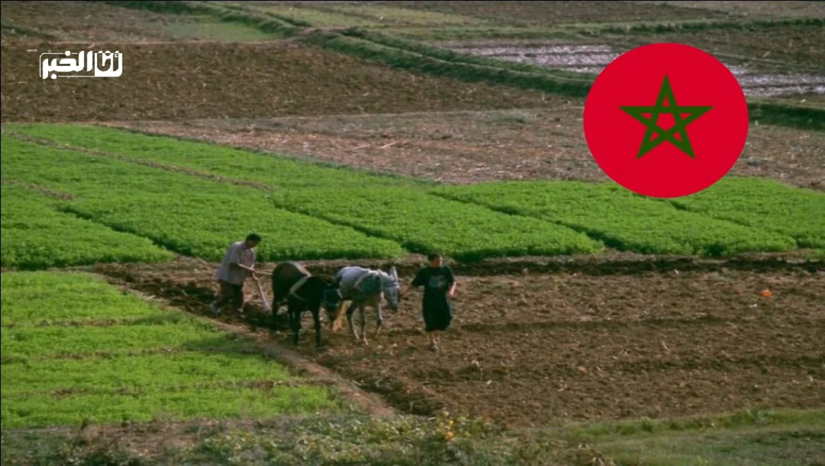 الفلاحة في المغرب تنتظر الأمطار