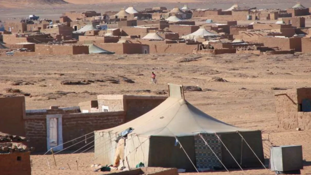 مخيمات تندوف DR