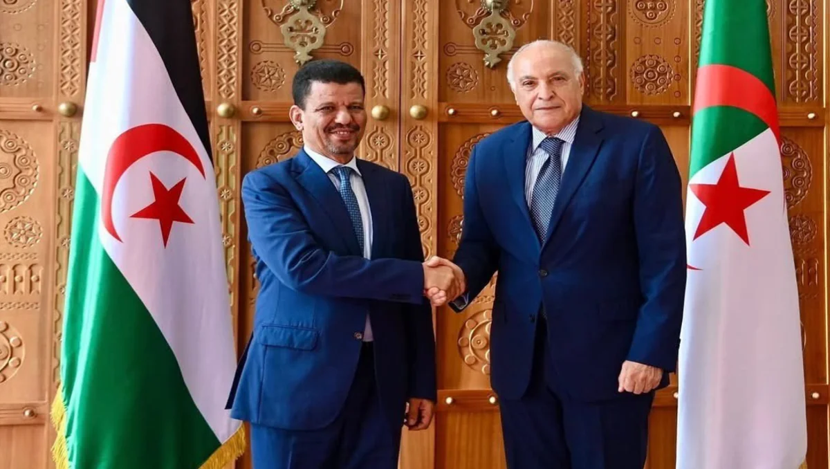 الأمم المتحدة عاجزة عن فهم ما تقوم به الجزائر والبوليسارو