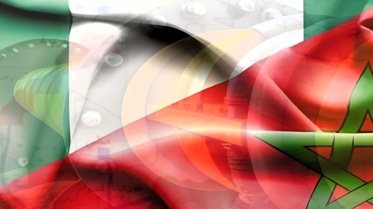 مشروع خط الغاز نيجيريا-المغرب مهم لموريتانيا