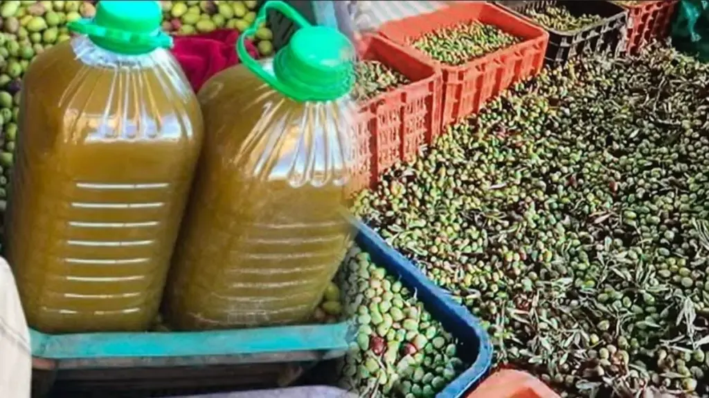 أسعار زيت الزيتون في المغرب