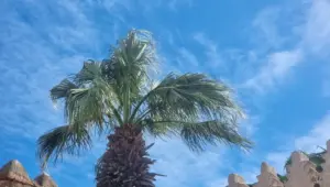 أحوال الطقس بالمغرب/ تصوير: أنا الخبر