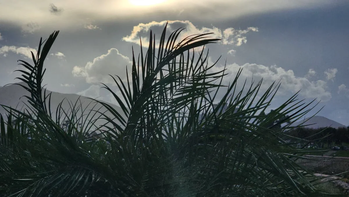 حالة الطقس بالمغرب