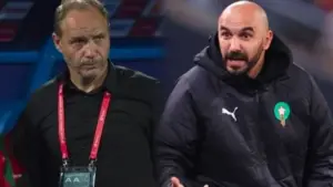 مدرب منتب هايتي ووليد الركراكي