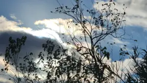 أحوال الطقس