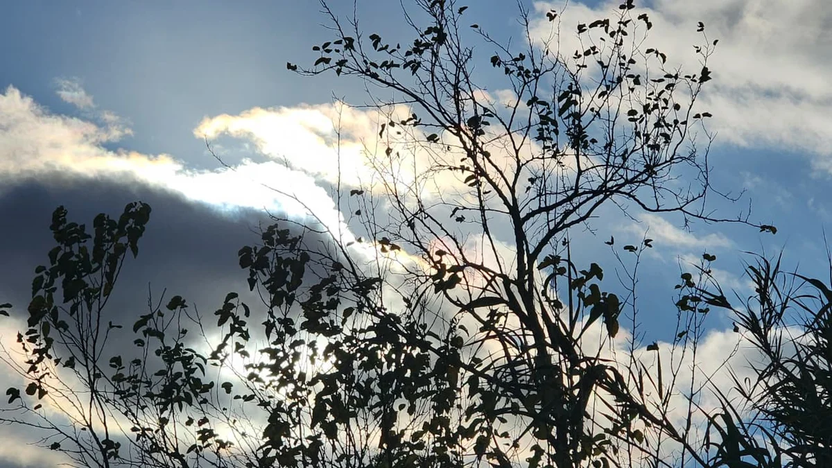 أحوال الطقس