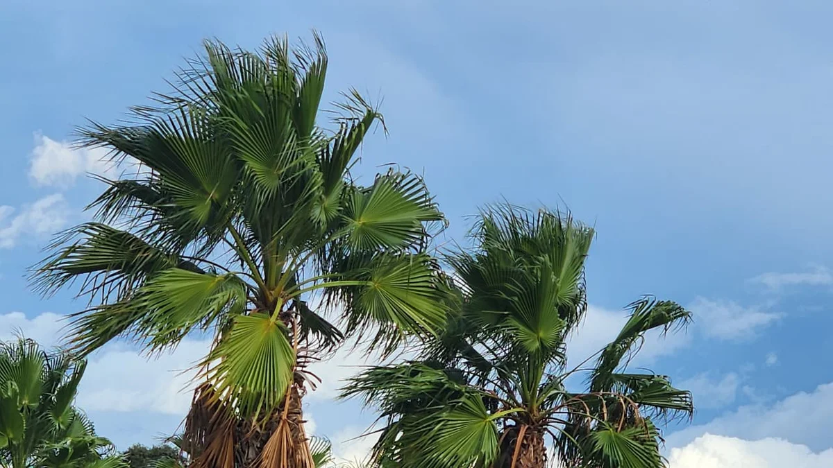 نشرة إنذارية بالمغرب