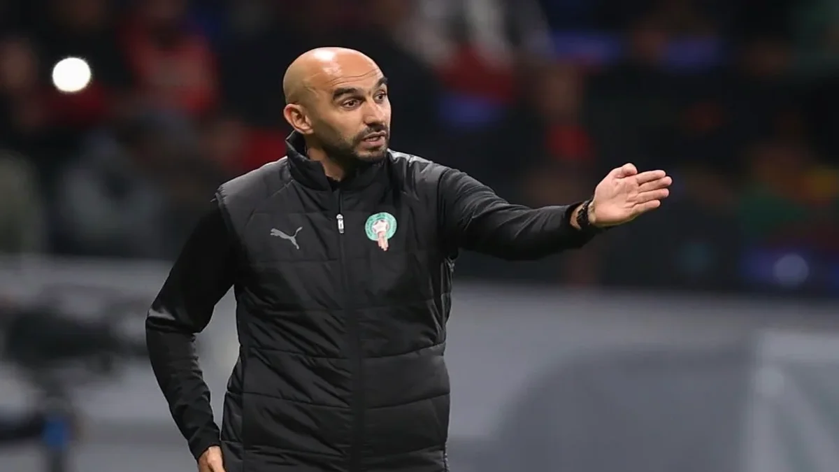 وليد الركراكي مدرب المنتخب المغربي