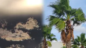 الطقس بالمغرب