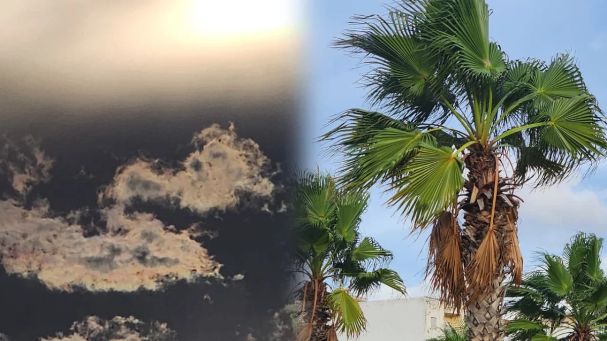 الطقس بالمغرب