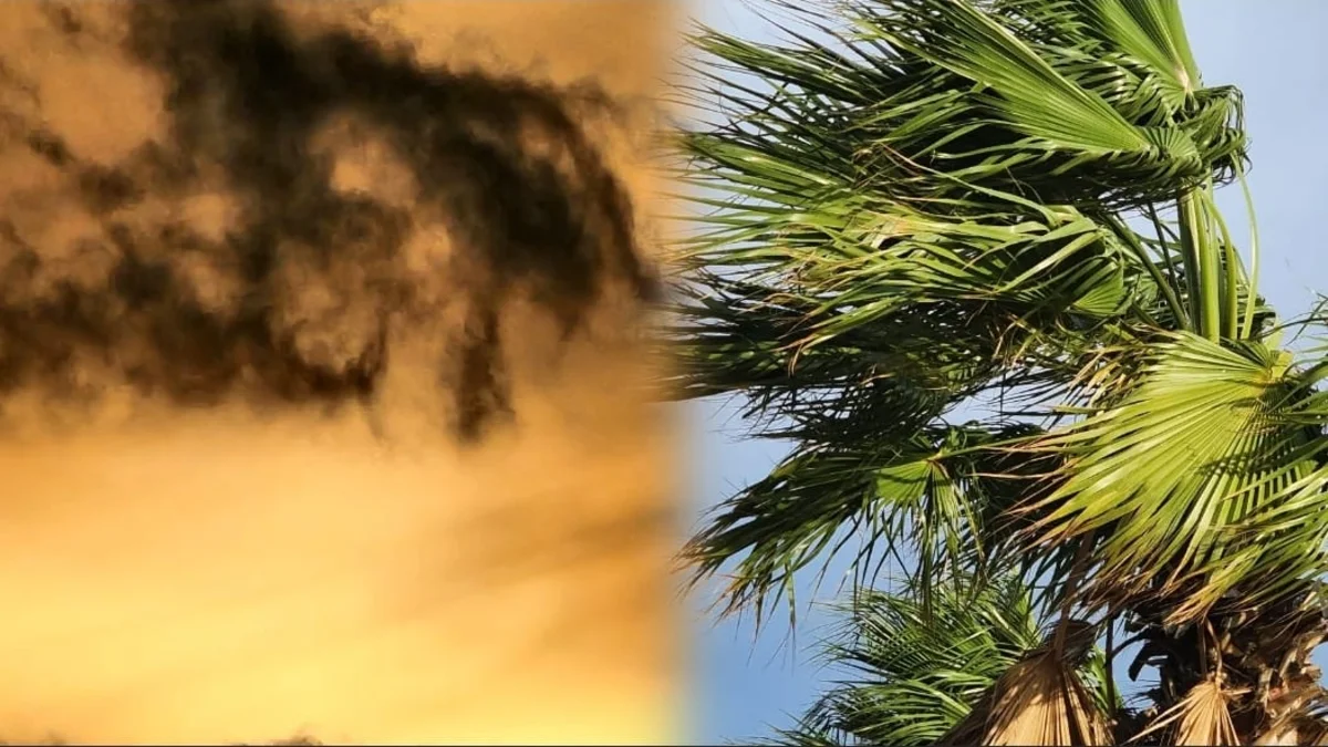 منخفض جوي جديد في اتجاه المغرب