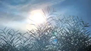 درجات الحرارة بالمغرب