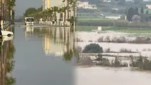 القصر الكبير