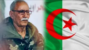 المخابرات الجزائرية تتخلص من وثائق البوليساريو