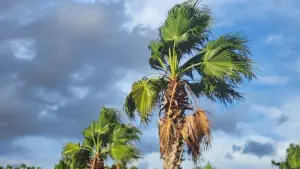 نشرة إنذارية بالمغرب