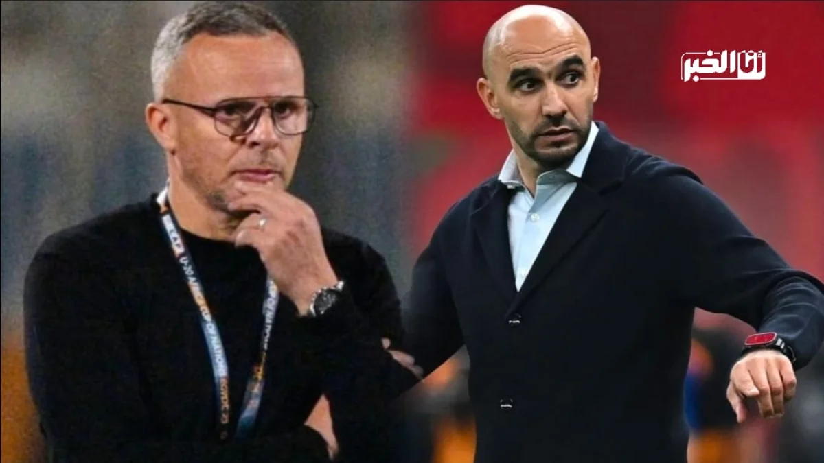 محمد وهبي ووليد الركراكي