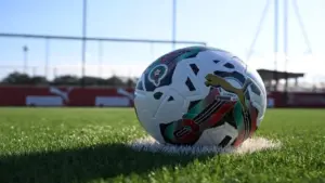 كرة البطولة الوطنية