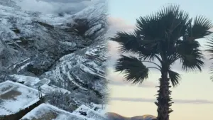 الأرصاد الجوية تعلن عن طقس الخميس