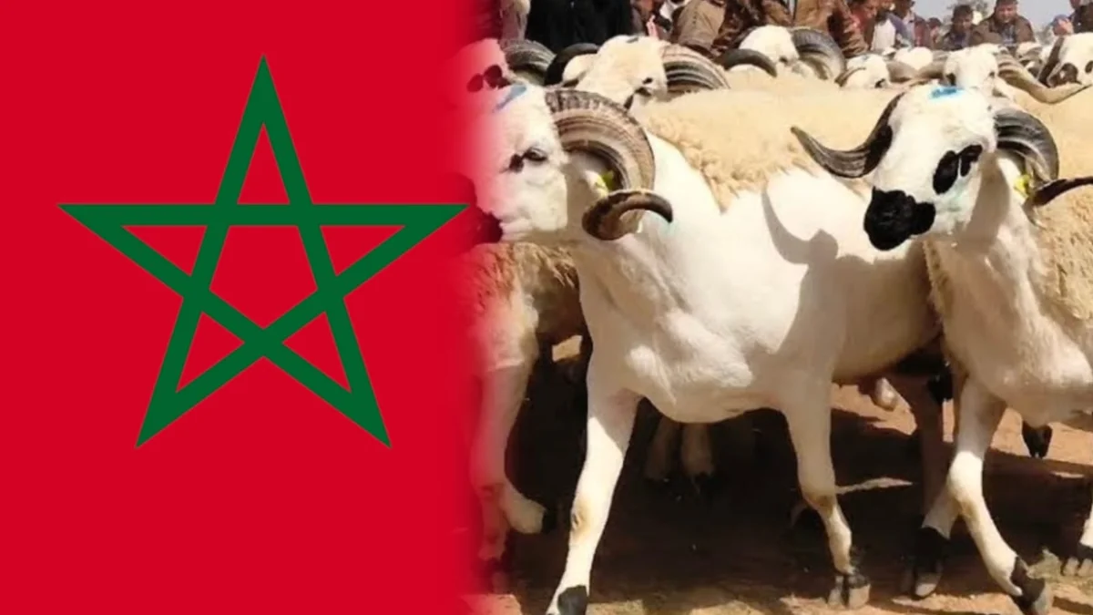 عيد الأضحى يقترب بالمغرب