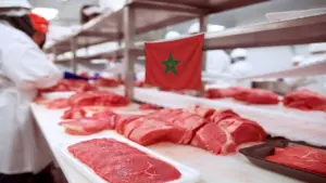 أسعار اللحوم الحمراء بالمغرب ترتفع