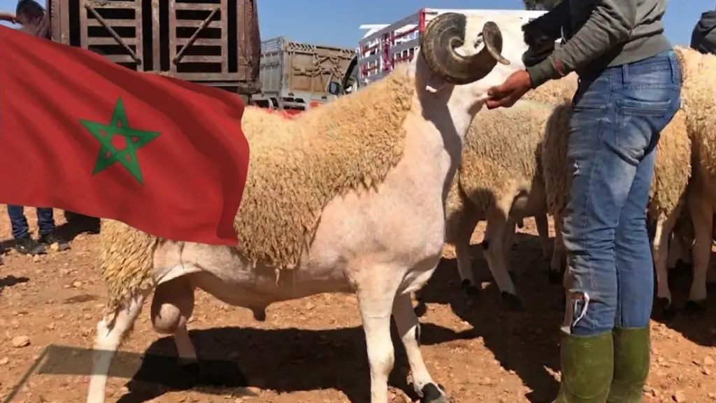 عيد الأضحى بالمغرب