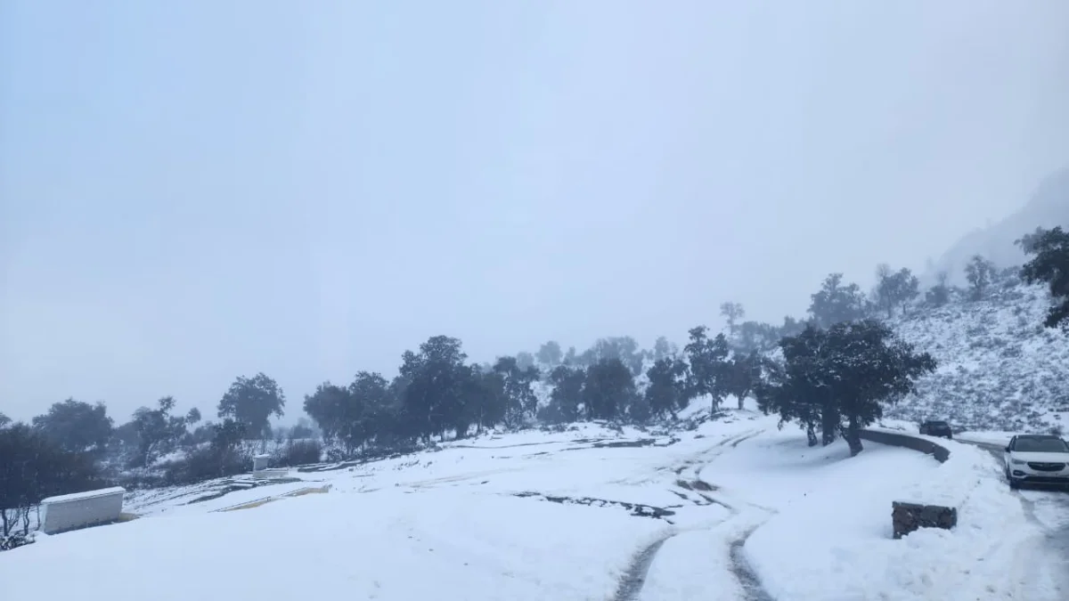 نشرة إنذارية بالمغرب ـ ثلوج ـ