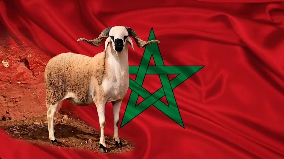 عيد الأضحى 2026 بالمغرب سيكون استثنائيا