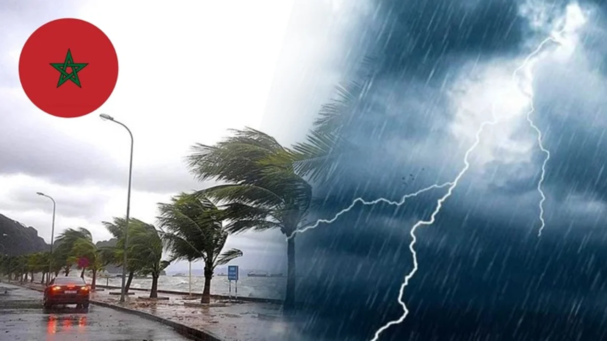 نشرة إنذارية