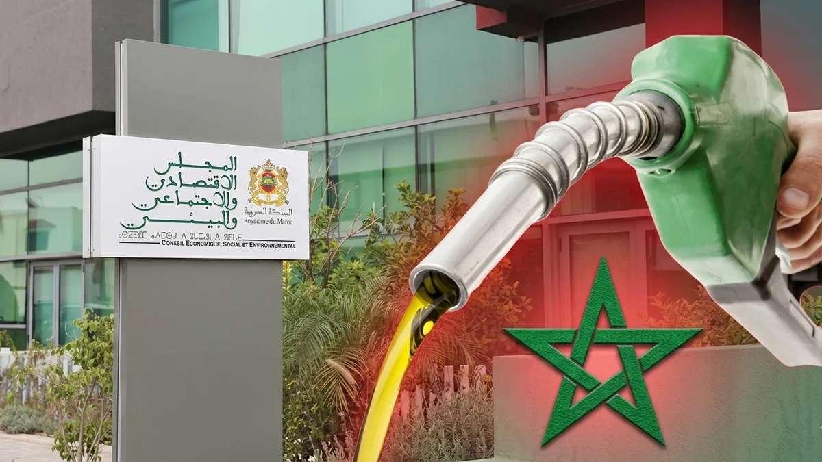 مجلس المنافسة يتحرك في سوق المحروقات