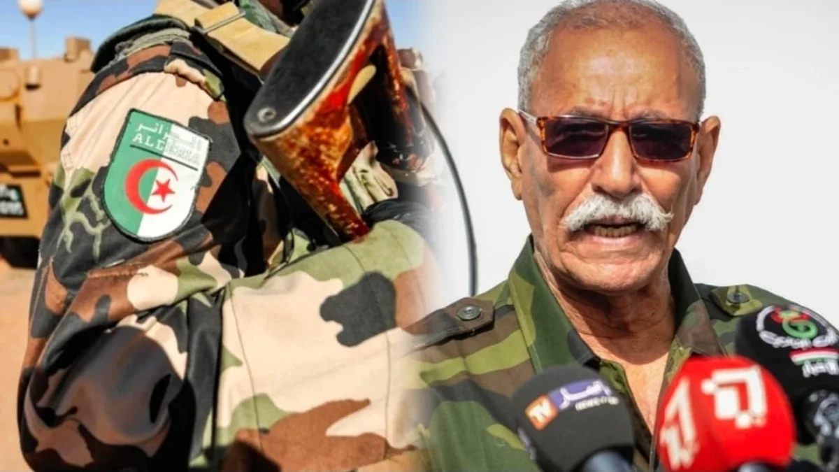 الجيش الجزائري وزعيم البوليساريو