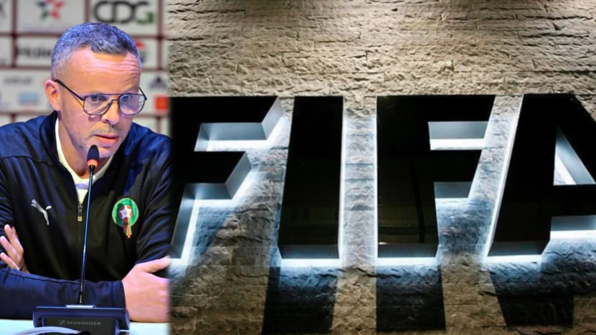 شعار فيفا ومحمد وهبي