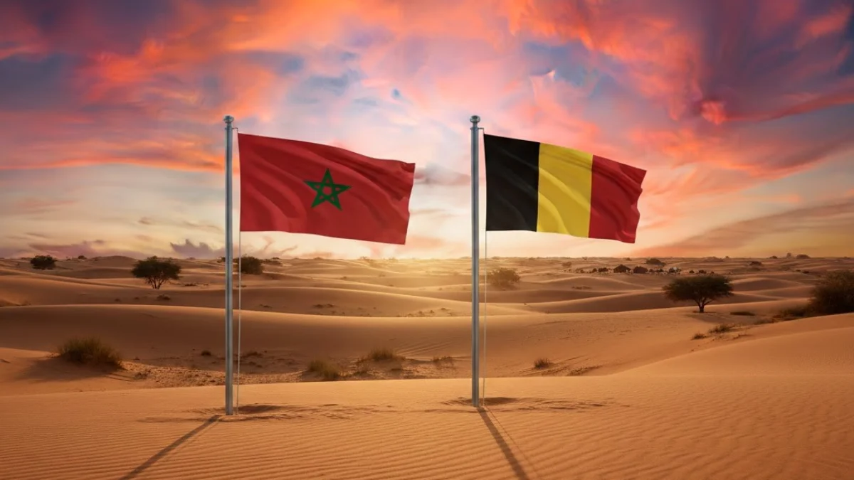 المغرب وبلجيكا بخلفية الصحراء المغربية