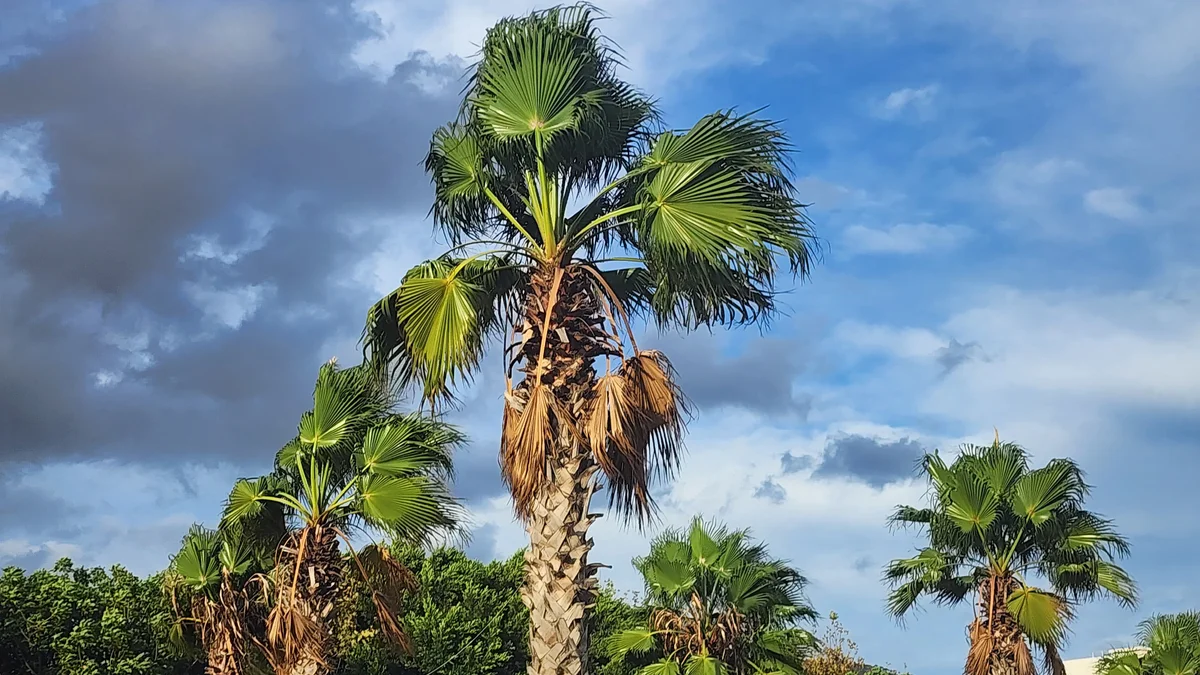 طقس المغرب/ تصوير: أنا الخبر