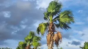 نشرة إنذارية بالمغرب