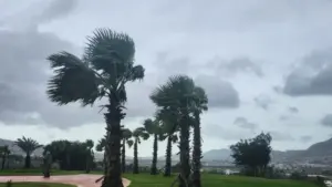 نشرة إنذارية