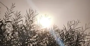 اعتدال في درجات الحرارة بالمغرب