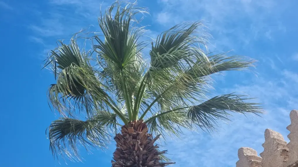 طقس المغرب