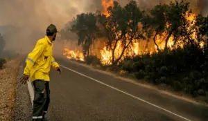 رجل إطفاء يرتدي الزي الواقي يراقب اندلاع حريق ضخم في إحدى الغابات بجانب طريق وطني، يجسد جهود المغرب في مواجهة حرائق الغابات الصيفية