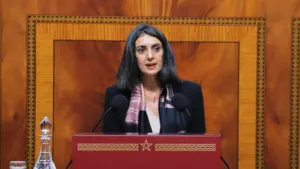 وزيرة الاقتصاد نادية فتاح العلوي